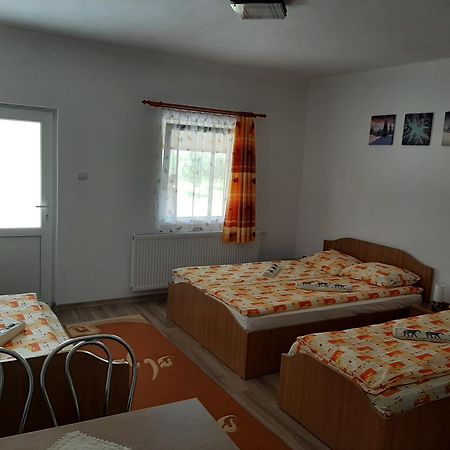 Kacso Apartma Ocna de Sus Экстерьер фото